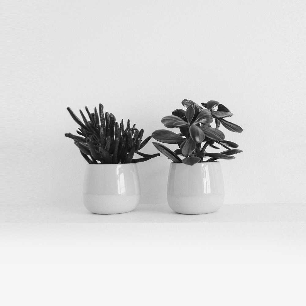 Lorem ipsum dolor sit